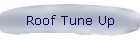 Roof Tune Up