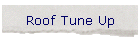 Roof Tune Up
